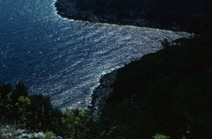 LEICA R6 SUMMILUX-R 1,4/50